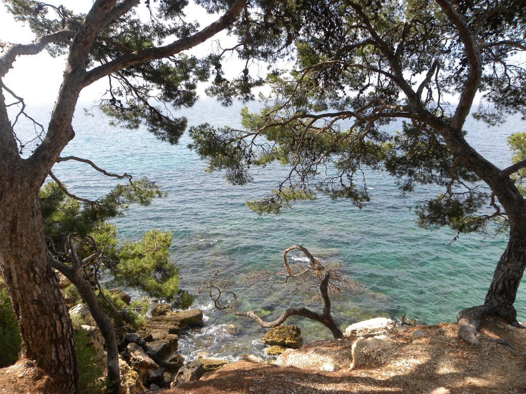 Sun & Sea Apart Bandol Kültér fotó